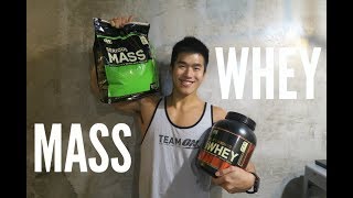 WHEY PROTEIN or MASS GAINER Tips for Beginner [upl. by Peale397]