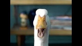 THE VERY FIRST AFLAC COMMERCIAL  2000 [upl. by Eel]