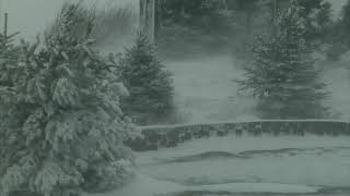 Epic Snowstorm  10 Hours Version  Howling Blizzard Sounds  Heavy Wind  Perfect Sounds For Sleep [upl. by Repinuj]