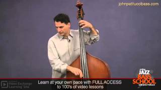 Bossa Nova Bass Lines John Patitucci [upl. by Donalt]