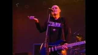 The Smashing Pumpkins  Live in Düsseldorf Germany 1996 [upl. by Sset798]