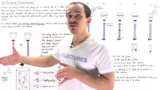 Ion Exchange Chromatography [upl. by Sellig]