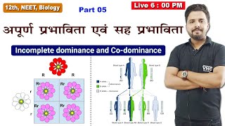 Class 12 Biology Chapter 5  Incomplete Dominance and Codominance L 5  Yogesh Sir  Doubtnut [upl. by Pedrick727]