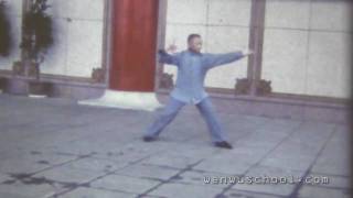 Master Y C Chiang Demonstrating Guang Ping Yang Taiji [upl. by Ermine613]