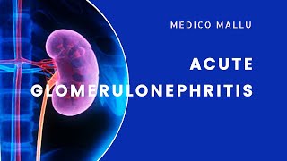 AGN  Acute Glomerulonephritis  Acute Nephritic Syndrome [upl. by Ardnwahsal989]