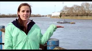 Steering the Tideway with Phelan Hill amp Sophie Shapter [upl. by Florette781]