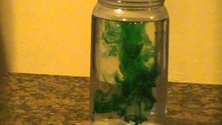 Diffusion High School Biology Lab Part I Easy Science Experiment [upl. by Anaul748]