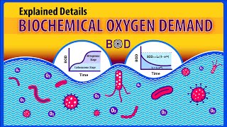 Biochemical Oxygen Demand BOD Explained details Animation [upl. by Leirvag641]