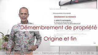 Démembrement de propriété  usufruit et nuepropriété [upl. by Serle]