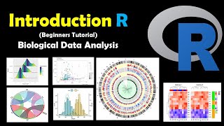 Introduction to R for Biologists  Run a Simple Program Complementary DNA [upl. by Teodora]