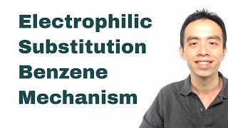 Electrophilic Substitution Benzene Mechanism  Organic Chem [upl. by Starobin]