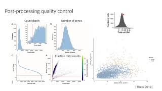 W20 SingleCell RNASeq Analysis with Python  Day 1 [upl. by Ysus39]