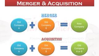 Merger and Acquisition [upl. by Jacquenetta]