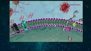 Amyloid Beta Processing [upl. by Belle168]