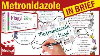 Metronidazole  Flagyl  What is Metronidazole Used For Dosage Side Effects amp Precautions [upl. by Eiramassenav]