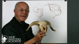 🐐 How to Draw Animals with Glenn Vilppu [upl. by Ardys]