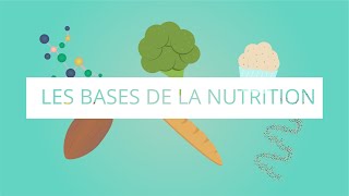 Les bases de la nutrition [upl. by Nodnart335]