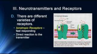 Neurotransmitters [upl. by Accalia]