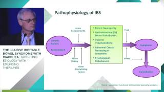 IBSD Pathophysiology and Treatment [upl. by Biddie924]