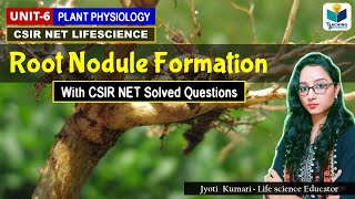 ROOT NODULE FORMATION AND BIOCHEMISTRY OF NOD GENES CSIR NETPLANT BIOLOGY [upl. by Repohtsirhc194]