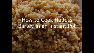 How to Cook Barley in an Instant Pot [upl. by Dhiren]