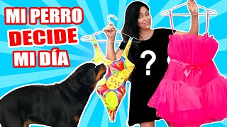 MI PERRO DECIDE MI DÍA 😱 Maquillaje Ropa Comida OMG 😅 Reto Sandra Cires Art [upl. by Anitsuga742]