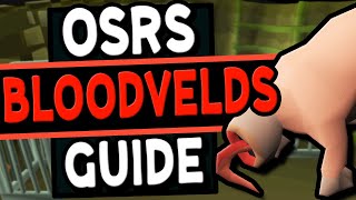 The Ultimate Bloodvelds Guide Old School Runescape [upl. by Petty]