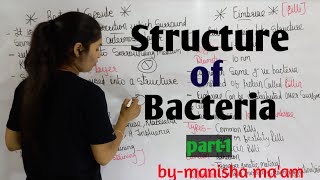 Structure of Bacteria  in hindi Bacteriology  By Manisha Maam  Microbiology [upl. by Nivlen]