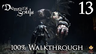 Demons Souls Remake  Walkthrough Part 13 Inner Ward 13 [upl. by Ayikaz323]