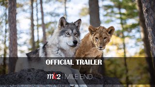 The Wolf amp The Lion  Official Trailer  MK2 MILE END [upl. by Ajim549]