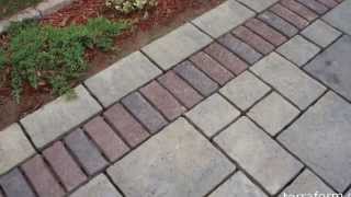 Polymeric sand joint replacement project [upl. by Chappy]