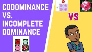 Codominance vs Incomplete Dominance [upl. by Weisman]