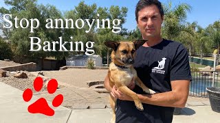 Fix Barking Fast [upl. by Anders]