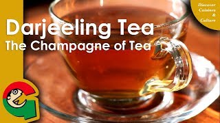 Lets make some Darjeeling Tea  How to make Darjeeling Tea  Recipe 15 [upl. by Durrej152]