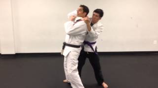 Gracie JiuJitsu Rear Choke Defenses [upl. by Nuhsed926]