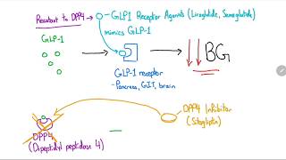 GLP1 Receptor Agonists and DPP4 Inhibitors Explained in 4 Minutes [upl. by Nahttam]