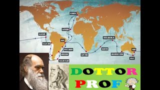 Darwin Teoria dell evoluzione con schemi video immagini [upl. by Eissolf]