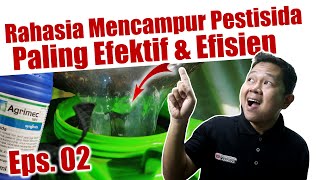 Rahasia Mencampur Pestisida Paling Efektif amp Efisien  Insektisida  Fungisida  Herbisida  Pupuk [upl. by Trevorr]