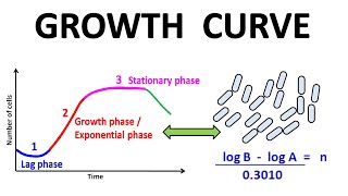 Growth curve [upl. by Nelav]