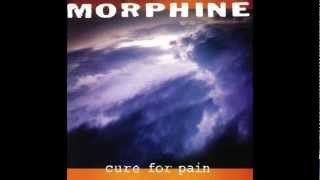 Morphine  Cure for pain Album Version [upl. by Draneb]