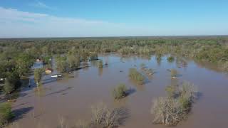 Sanford Dam remains standing but flooding impacts surrounding area [upl. by Ellicul279]