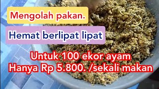 cara mengolah pakan ayam kampung dari bahan seadanya menjadi pakan berkualitas tinggi  TERNAK AYAM [upl. by Coombs]