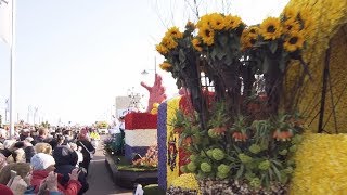 Bloemencorso 2019  Holland [upl. by Eah]