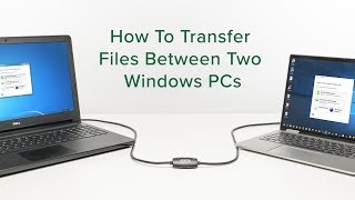 How to Transfer Files Between Two Windows PCs [upl. by Ilellan825]