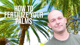 How To Fertilize Your Palms  ONeils Tree Service [upl. by Notsreik396]