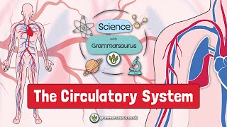 Science with Grammarsaurus  The Circulatory System [upl. by Notnert]