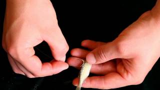 Fishing Basics Using live minnows [upl. by Assiar]