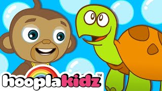 I Had a Little Turtle  Kids Songs And More  HooplaKidz [upl. by Annayt64]