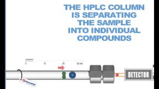 How HPLC Columns Work [upl. by Heigl608]