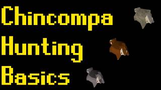 Basic Chinchompa Hunting Guide 2019 OSRS [upl. by Mixie]